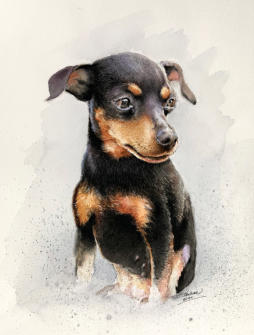 Ein Hunde-Porträt: Aquarell auf ARCHES Aquarellpapier