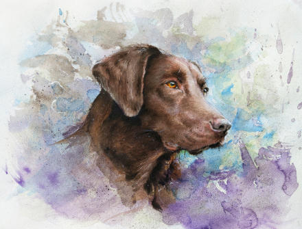 Luna, eine Labrador-Hündin: Aquarell auf ARCHES Aquarellpapier