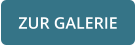 ZUR GALERIE