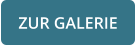 ZUR GALERIE