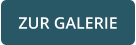 ZUR GALERIE