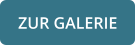 ZUR GALERIE