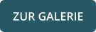 ZUR GALERIE